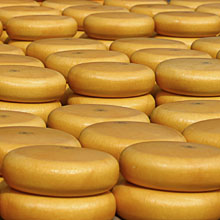 alkmaar kaas